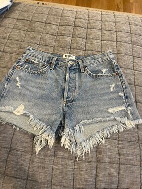 Agolde Parker Shorts in Swapmeet